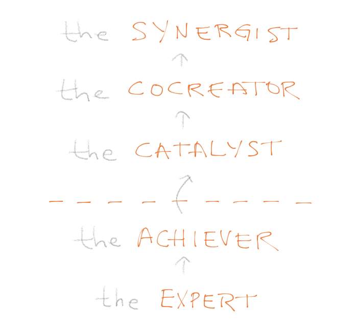 The five stages of maturity: the Expert, the Achiever, a development ceiling, the Catalyst, the Cocreator, the Synergist