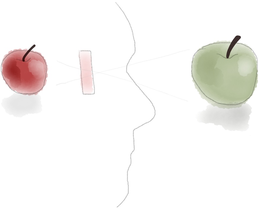 A mind with a filter looks at a green apple, interprets it as a red apple