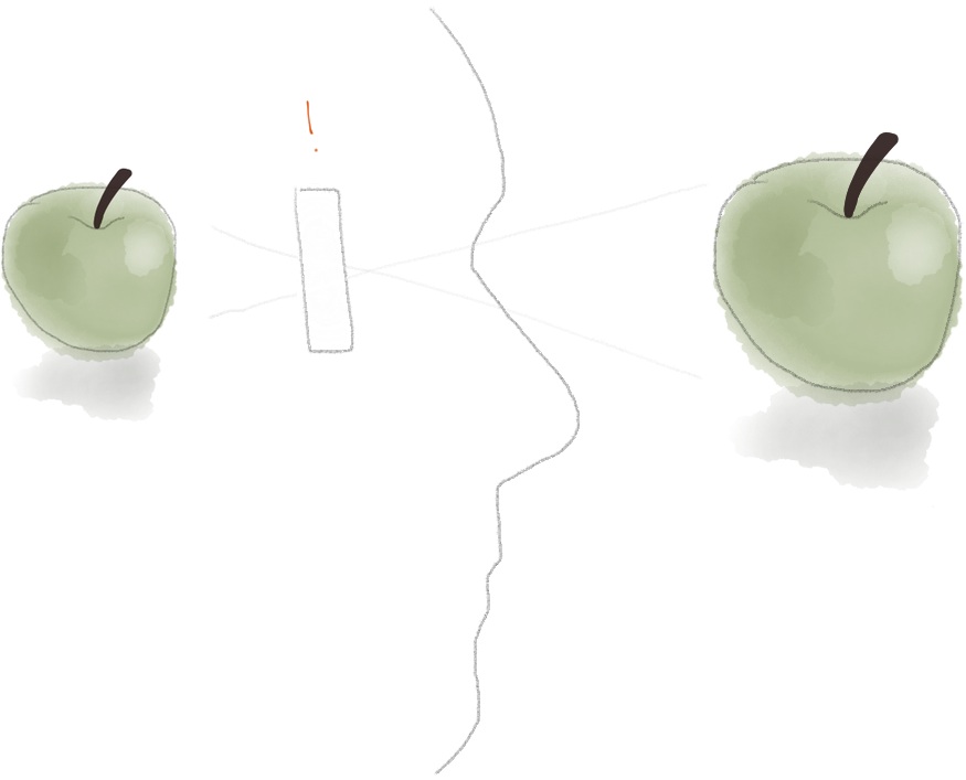 Identifying the presence of the filter, the mind sees the real object: a green apple
